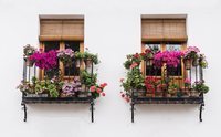 Cómo decorar la terraza o el balcón con plantas