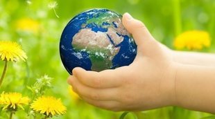 Frases sobre el medio ambiente para reflexionar