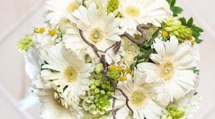 Flores blancas para regalar